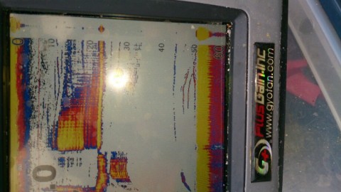 uyodhr4hw39pe5evo4ff_920_517-46c85dc9.jpg