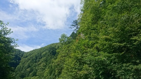 uypa2ebc2o8wk6a69ina_768_432-c233150f.jpg