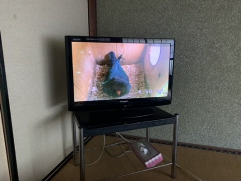 uyr4fjzkgdft9p4jakpc_480_361-20ff8d4c.jpg