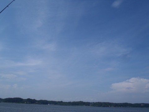 uyy3r23e443o5fguc56t_480_480-5a0e867d.jpg