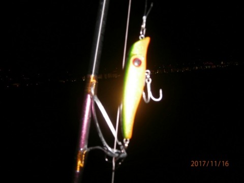 uz86jdikdfbmrfi58974_480_480-5e882cd2.jpg