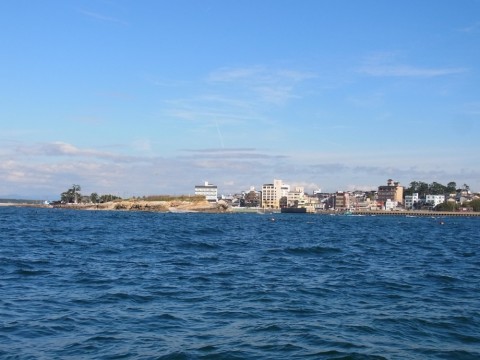 uz9ehyoepenn2vgkow5f_480_480-3679796c.jpg