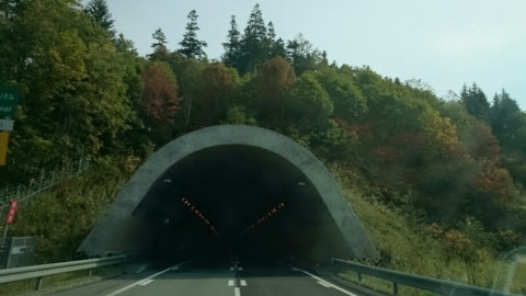 uzj936gki7gdxi259zjk_920_518-41123616.jpg