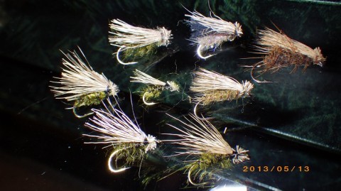 uzrrcocann7g6us2pb4u_480_480-7a0a146d.jpg