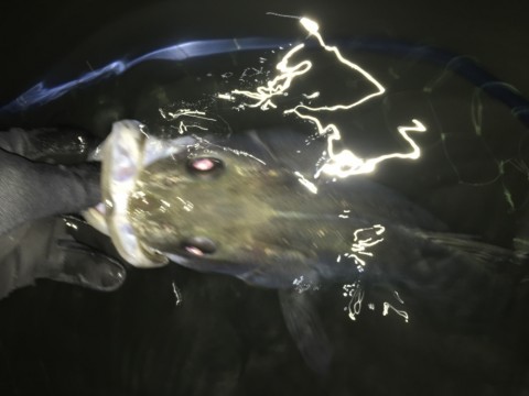v2esjjvdepnt3u2j8jbc_920_690-8571079f.jpg