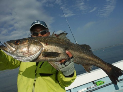 v38uka3s8a69yrw524ps_920_690-699746e1.jpg