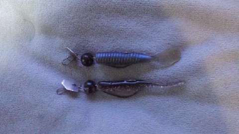 v396udcyuik5fuxxusfj_480_480-619a2009.jpg