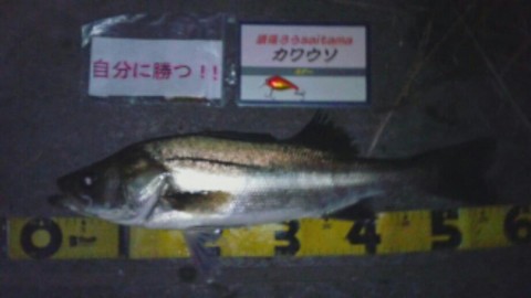 v3ajoeof9m4ikohwkkxr_920_518-f59d5649.jpg