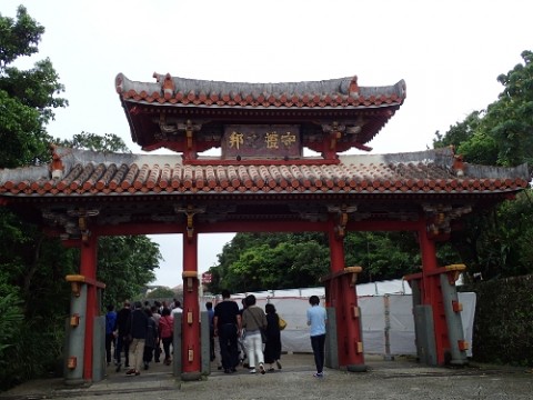 v3i424odo2vw96d6hi53_480_480-8e82947b.jpg