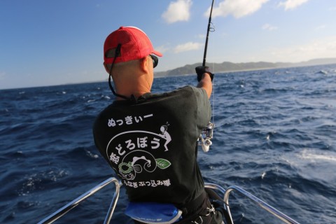 v3y3vc3bgiymxp7oz4bf_480_480-33cce964.jpg