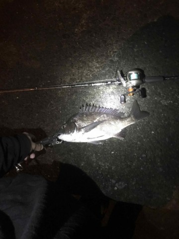 v424659n9aji7znv69te_360_480-4ca6e78b.jpg