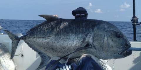 屋久島 GTキャスティング GTフィッシング フィスニック FISNIC 遊漁船 釣り 釣果 吐噶喇列島 トカラ列島 口之島 口永良部島 中之島 オフショアキャスティング オフショアフィッシング トップウォーター ルアーフィッシング GT ジャイアントトレバリー