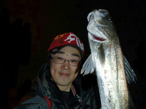 v453ouby95w852i3umvn_640_480-48785458.jpg