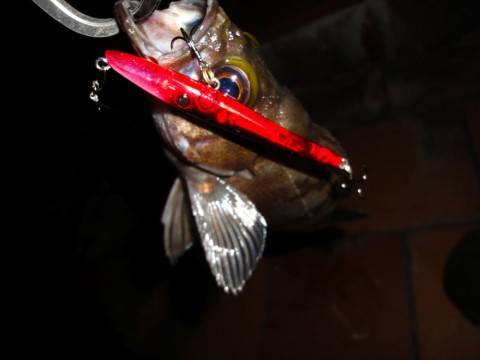 v4DD58YnjeiJLFa8jpct_320_240-8cba7780.jpg
