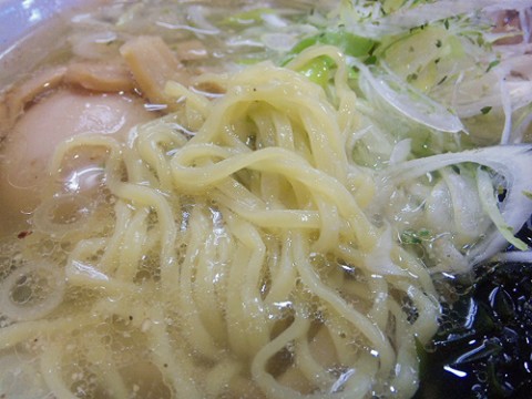 v4cpdapnongp49m34iye_480_480-260c0645.jpg
