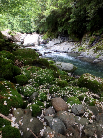 v4cx4fegairii897u6o9-c54f3f4e.jpg