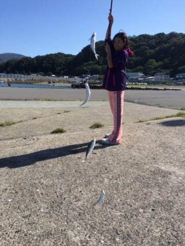 v4dpg8eua9rjmyrji2d2_690_920-64f096ac.jpg