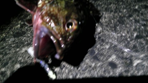 v4e3f6ynvsjwakxotvn3_920_518-0762f31d.jpg