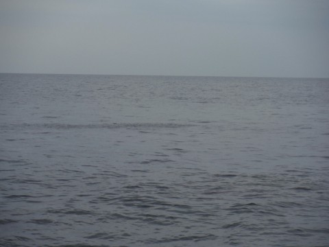 v4gofzdcauhy6m3y9rue_920_690-50930060.jpg