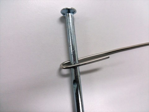 v4imtk6b2bbhchgnjsjy_480_480-cd853989.jpg
