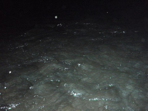v53y7coofmwacf595fxx_480_480-9118dc44.jpg