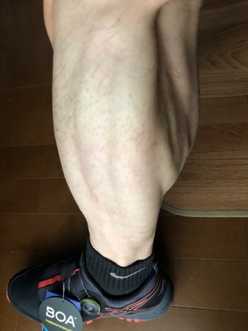 v5k7i9dm7ey9eo9dmvk8_480_480-b4a21d7d.jpg