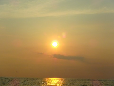 v5mnsd74o2veitnia2xm_480_480-00ca46d1.jpg