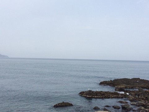 v5ps25pyj5kt4agr9g6b_920_690-8953ddf0.jpg