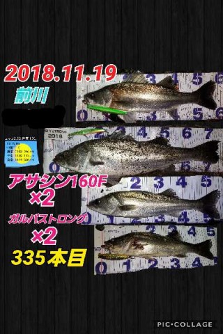 v5rsjow85wp2tc5vyr7i_480_480-df8a4708.jpg