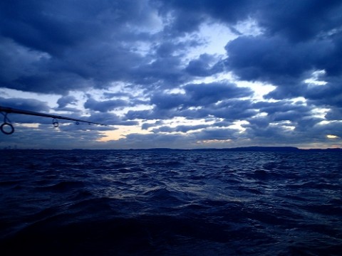 v5wrsxcbnvrrrx2h2bwk_480_480-5b682ca3.jpg