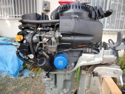 v67cjg9rb5yfipb94cuk_480_480-72ecf63f.jpg