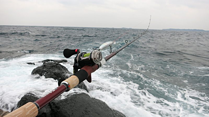 Fishman 8 9ベイトで磯ヒラ