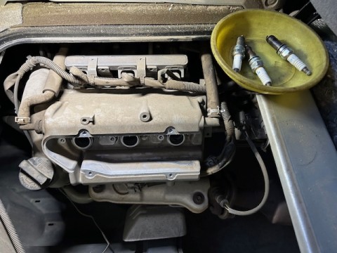v68piic2dzxr8r2nxsrt_480_480-0f41aa33.jpg