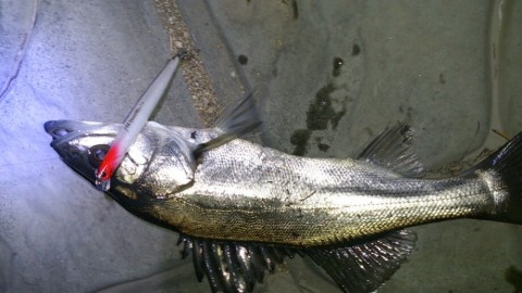 v6aoicyboprb7ciwofdo_920_518-603087d0.jpg