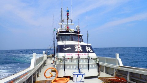 v6bjcai22kmxzmad7raz_480_480-bc1e8eeb.jpg