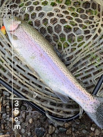 v6irgdns93d2yvhj9374_480_480-9eb5400d.jpg