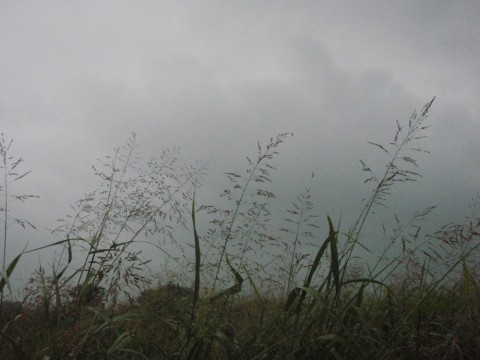 v6yodzvs453uinbtsrtn_480_480-f259675c.jpg