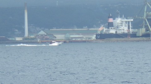 v77khrdiw4p5ka6mpr92_480_480-6c846977.jpg