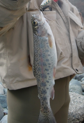 v7afx4krg5575vnawsiy-c15a5130.jpg