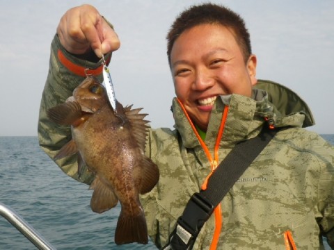 v7gugbx3t79x2y6rbt6i_480_480-96d53081.jpg