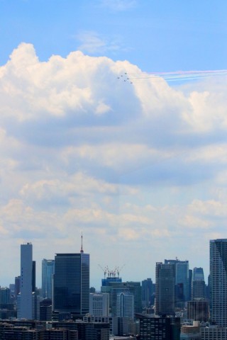 v7hgzzkwco3mkujjfd46_480_480-136dca29.jpg