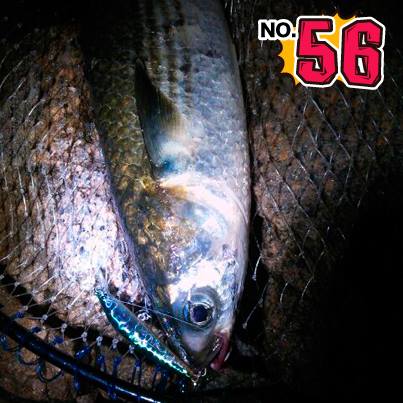 v8ob9zrobuenkk78rkrp-4b188bfc.jpg