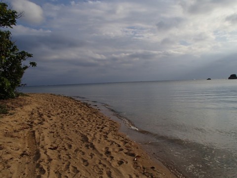 v8uggd8aia7v795j79gs_480_480-55f12d35.jpg