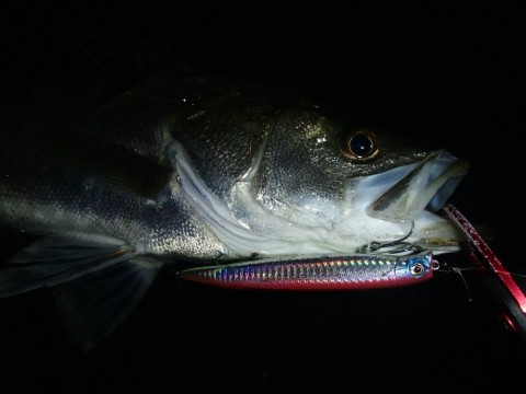 v8vz3oca4tjki36m5xos_920_690-2926f7cb.jpg
