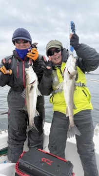 v8wt29ob4ybjou8drere_270_480-378e141c.jpg