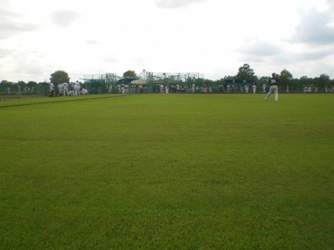 v8xnwtwar2t9c3iop5y9_480_480-19303c73.jpg