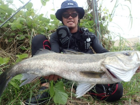 v9cae28m47un7srfp53e_920_690-f8990655.jpg