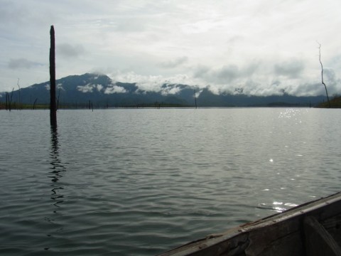 v9f3f5fncvmgmjdn8czo_480_480-9c938ab5.jpg