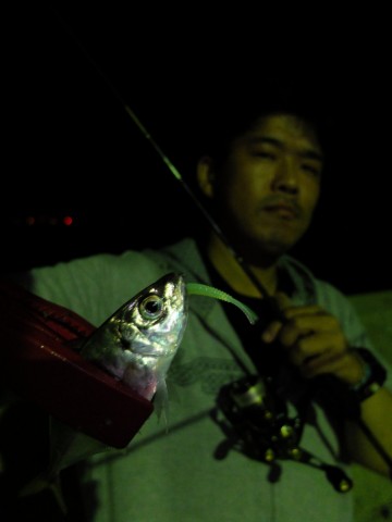 v9gju9npdykfvzgoamkj_480_480-b7a9a7bf.jpg