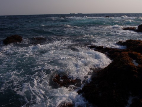 v9ophjzekgjxt59uc8sj_480_480-c3a769c4.jpg